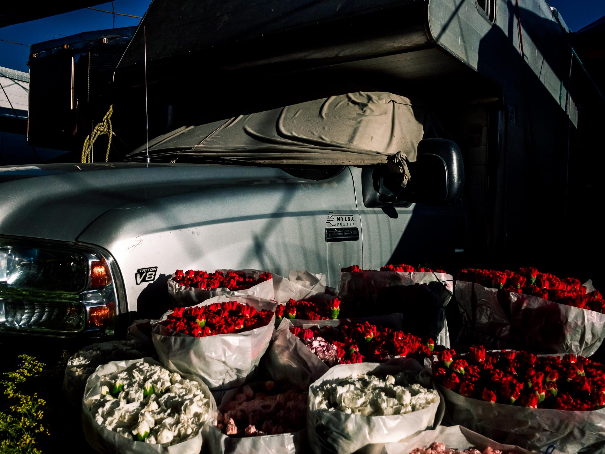 Gemüseangebot auf Mercado de Abasto in Oaxaca Mexiko
