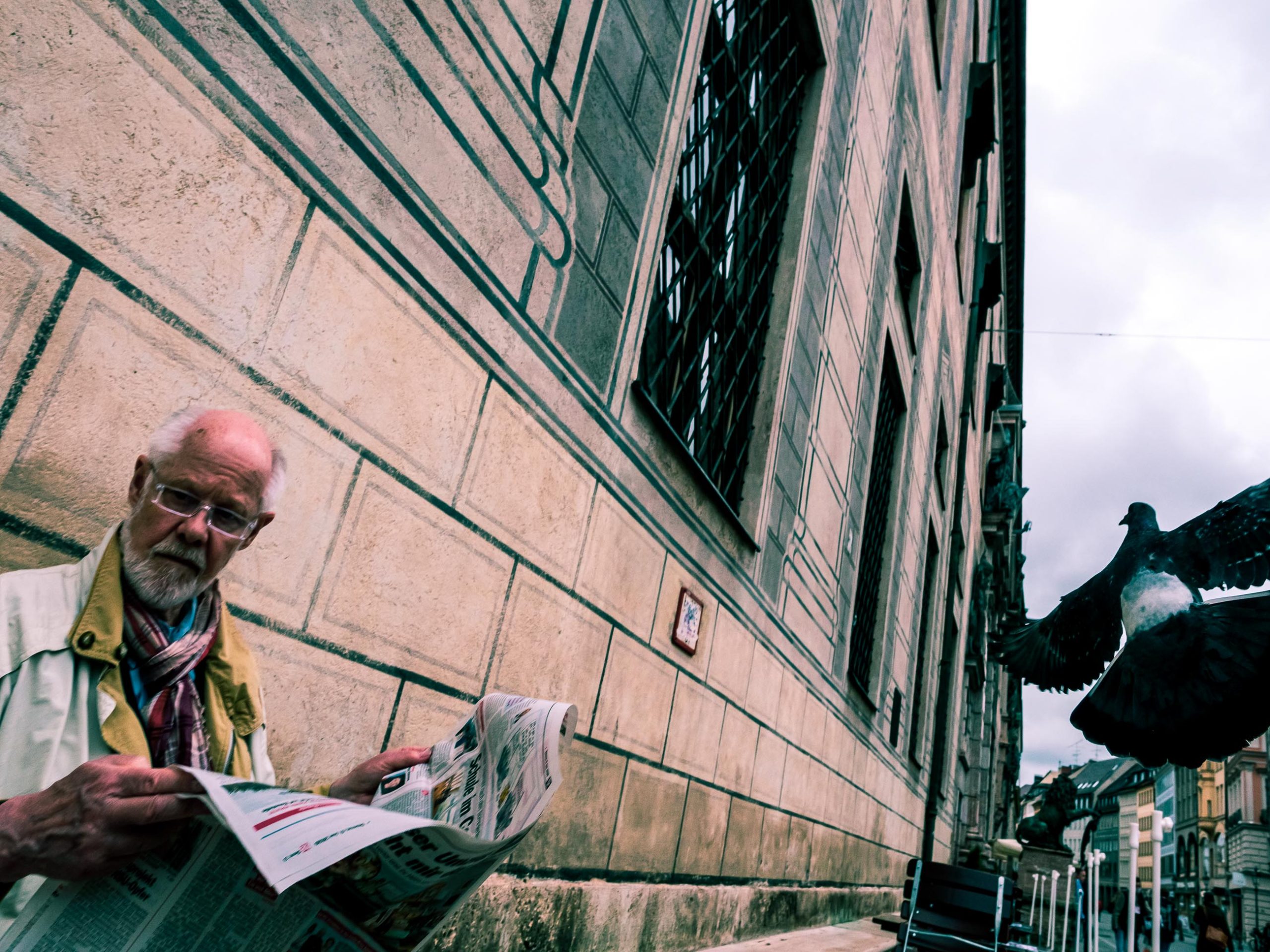 Mann liest Zeitung und Taube fliegt vorbei in der Residenzstraße in München
